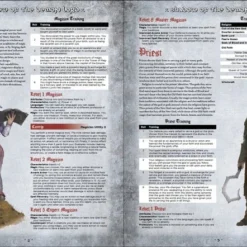 Schwalb Entertainement LLC Shadow Of The Demon Lord - Core Rulebook Fantasy