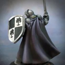 Dungeons & Dragons Reaper Dungeon Dwellers - Baran Blacktree, Warrior