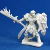 Reaper Bones-Almaran The Gold, Paladin