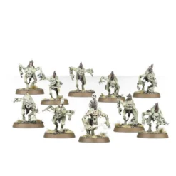 Games Workshop Start Collecting! Flesh Eater Courts