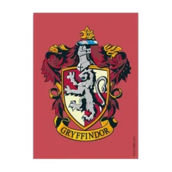 Gaming Accessories Dragon Shield: Gryffindor (100)