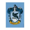 Gaming Accessories Dragon Shield: Ravenclaw (100) 2 Gaming Accessories Dragon Shield: Ravenclaw (100)