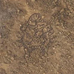 Para Bellum W'adrhun Exclusive - Game Mat (available In 3 Sizes) (custom Order)