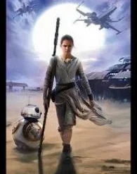 Fantasy Flight FF Deck Sleeves - Star Wars: Rey
