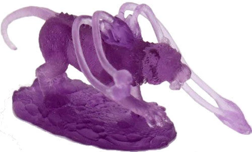 Reaper Bones- Phase Cat 3 Reaper Bones- Phase Cat