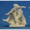 Dungeons & Dragons Reaper Bones-Arran Rabin 2 Dungeons & Dragons Reaper Bones-Arran Rabin