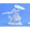 Dungeons & Dragons Reaper Bones-Human Fighter 2 Dungeons & Dragons Reaper Bones-Human Fighter