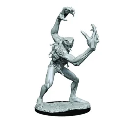 Wizkids Critical Role Unpainted Miniatures: W1 Aeorian Nullifier Dungeons & Dragons